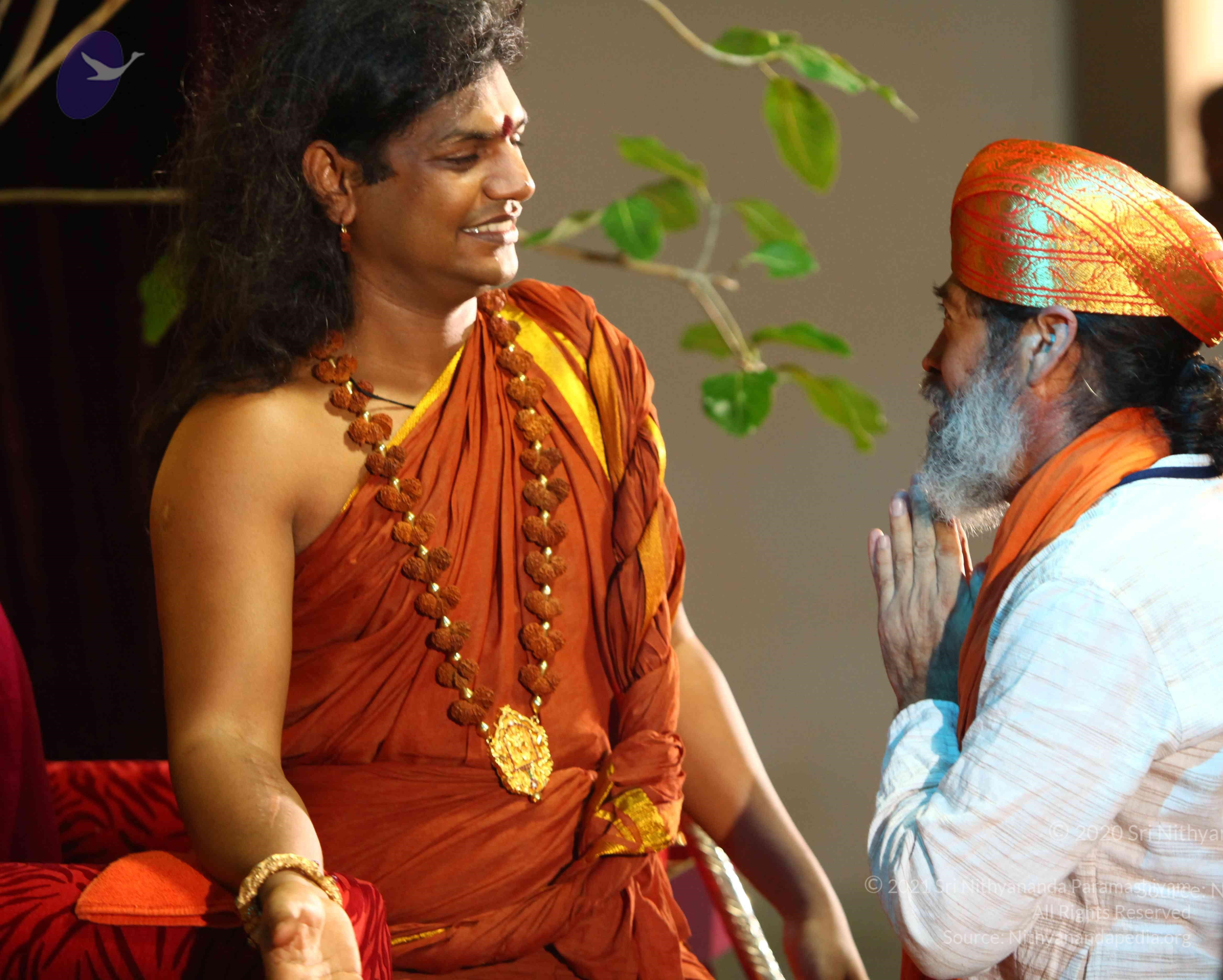 IMG_2074_CMP_WM Done